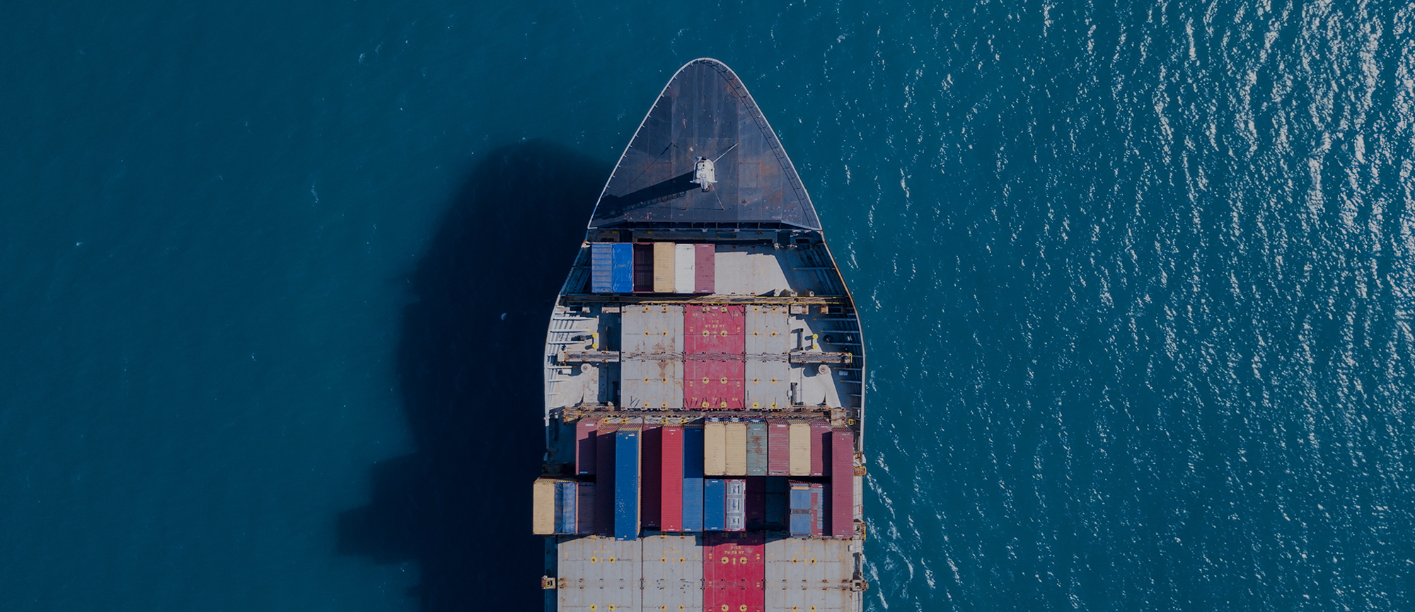 PGL ocean freight forwarder