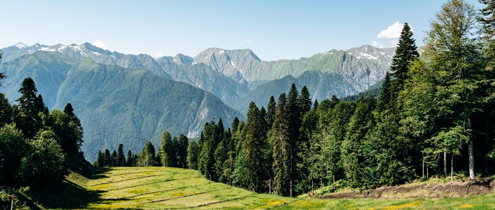 PGL's efforts for environmental sustainability